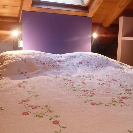 Modern Holiday In With Forest Nearby Hébergement de vacances