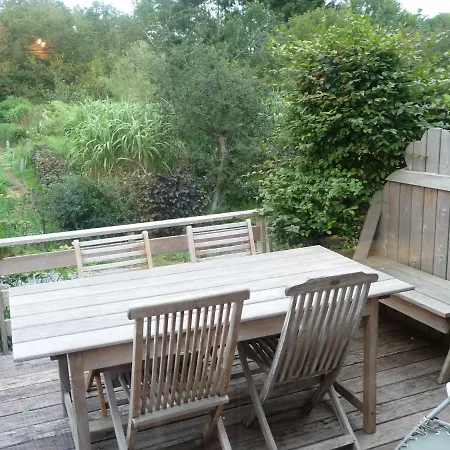 Modern Holiday In With Forest Nearby *
