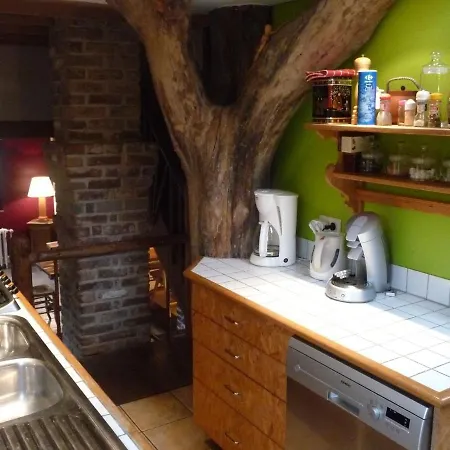 Modern Holiday In With Forest Nearby